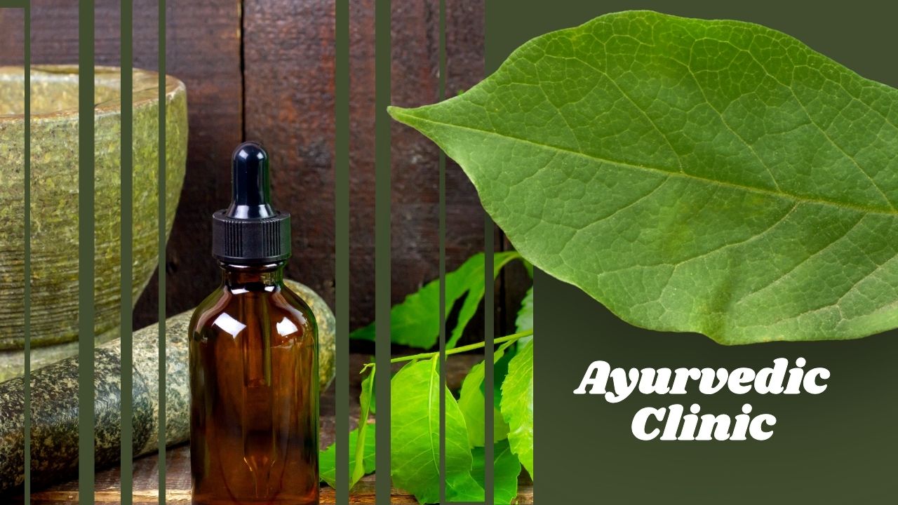 How to Find the Best Ayurvedic Doctor in Noida?